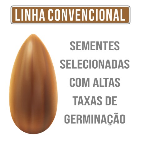 Brizantha com 30% de Capim Mombaça